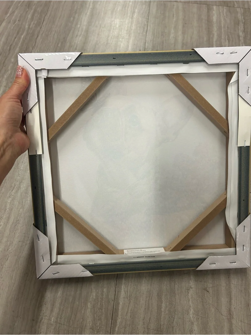 NWT Decorative French Bulldog Canvas Wall Art